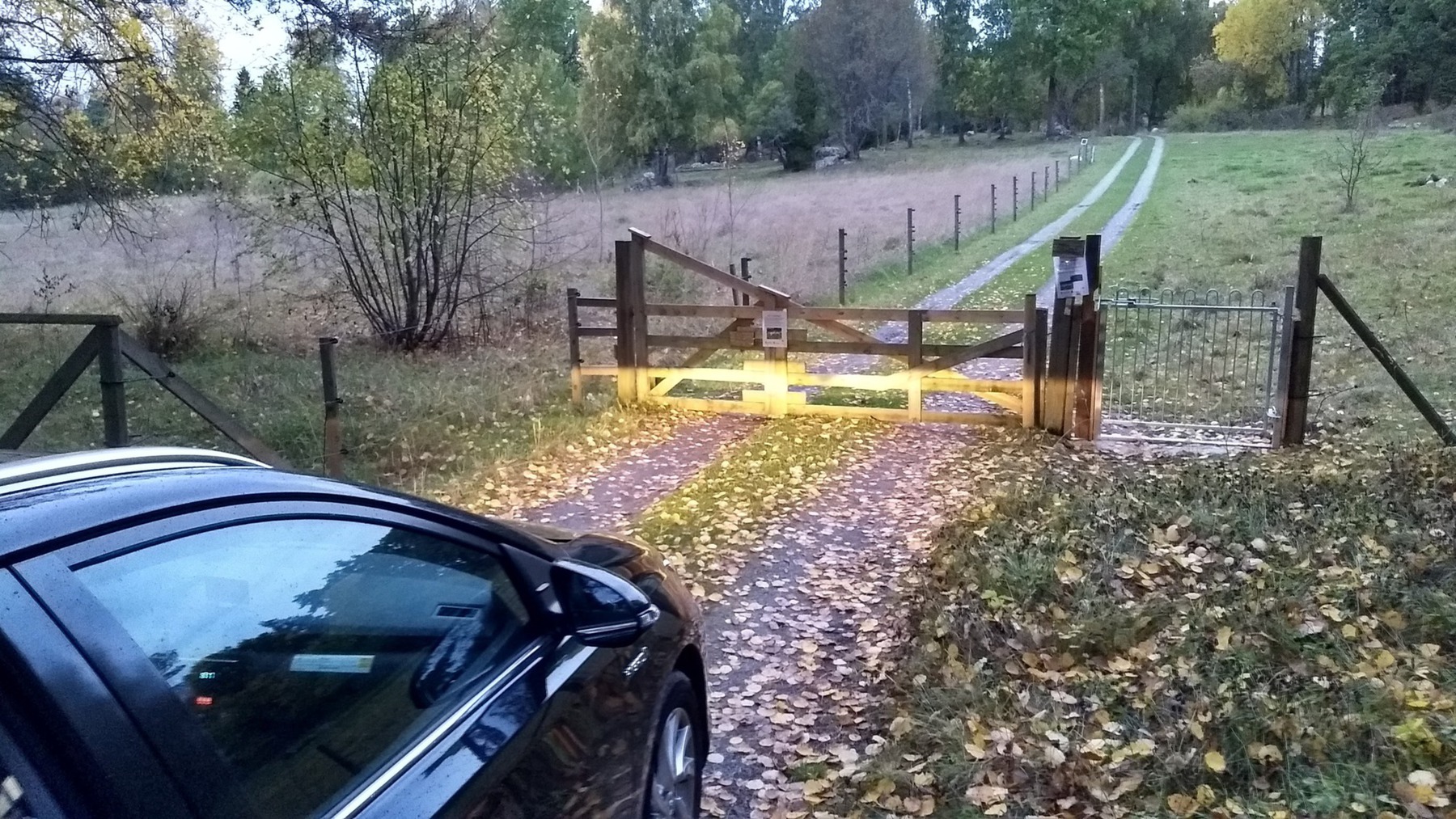 Lehmäportti