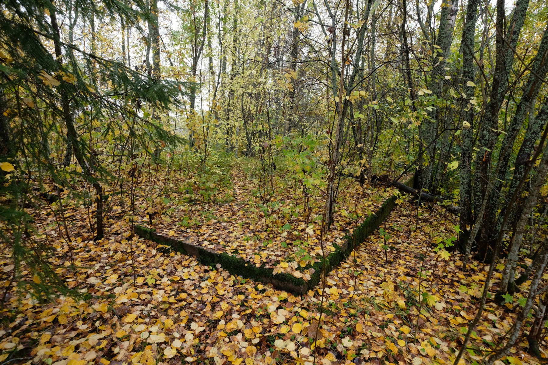Varasto ylhäältäpäin